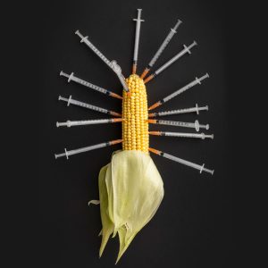 Semi agricoli e piantine coltivate mentre il Parlamento Europeo approva le Nuove Tecniche Genetiche (NGT)