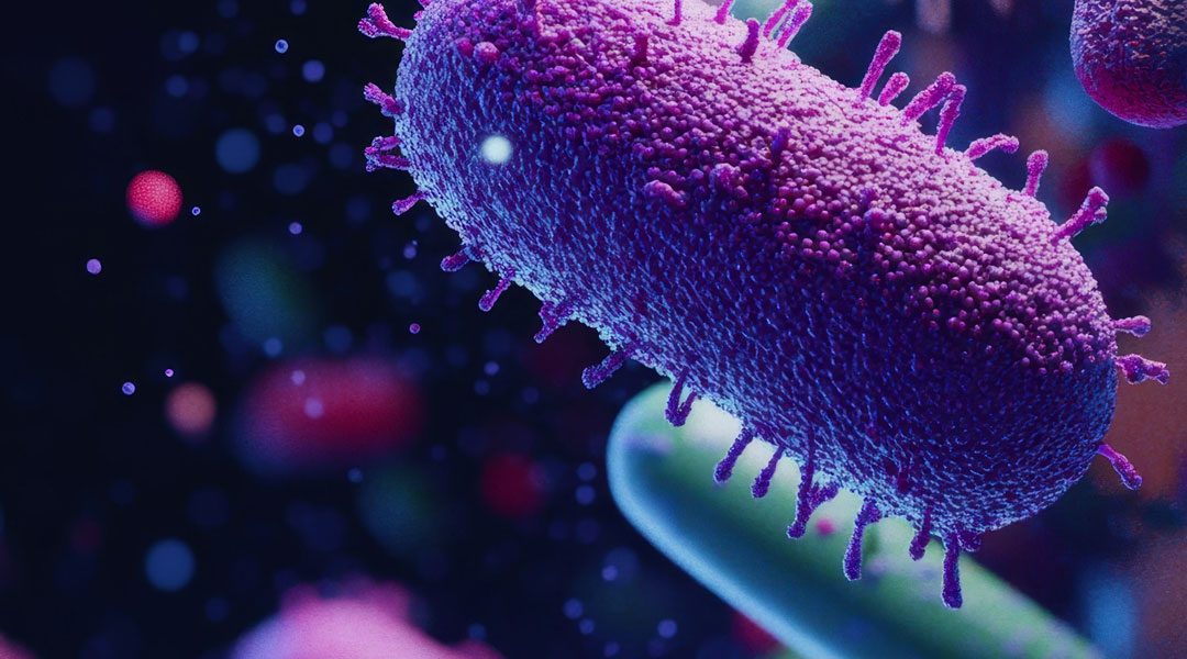 I MICROBIOMI PER ELEVARE LA RESILIENZA DELLE COLTURE E LA FERTILITÀ DEL SUOLO