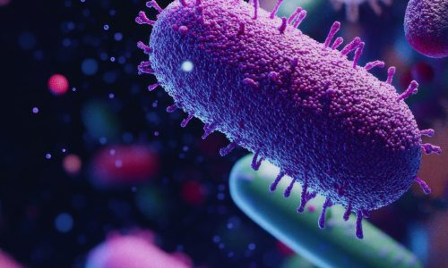 I MICROBIOMI PER ELEVARE LA RESILIENZA DELLE COLTURE E LA FERTILITÀ DEL SUOLO