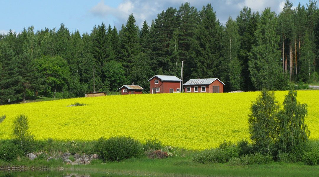 LA DANIMARCA ANCORA PIÙ VERDE