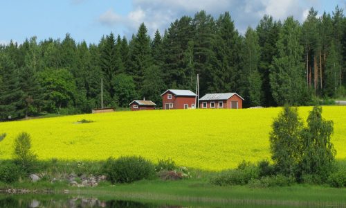LA DANIMARCA ANCORA PIÙ VERDE