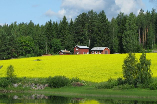 LA DANIMARCA ANCORA PIÙ VERDE