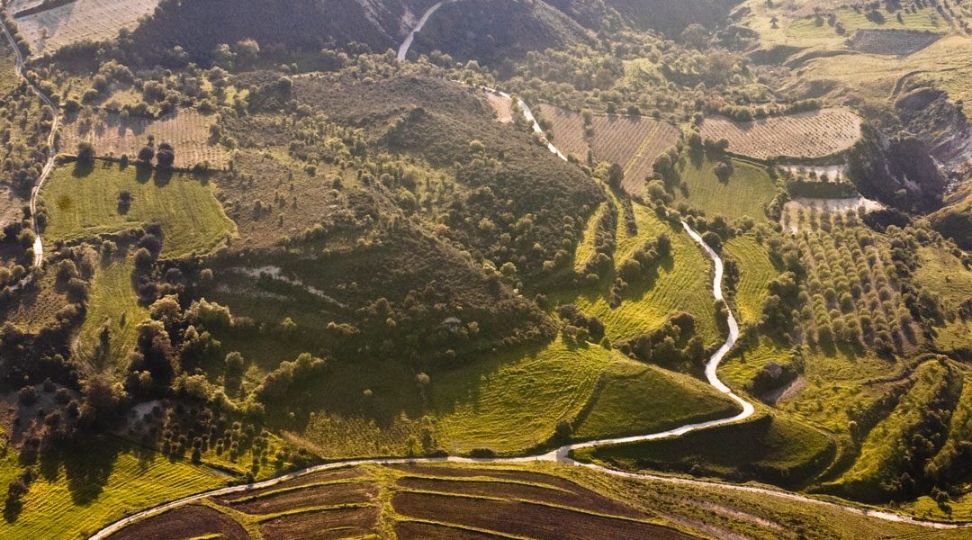 NUOVA ZELANDA, UN MINISTERO PER L’AGRICOLTURA BIOLOGICA!