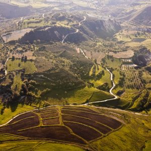 Mike Butterick nominato ministro per l’agricoltura biologica in Nuova Zelanda durante la presentazione delle politiche per il settore