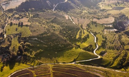 NUOVA ZELANDA, UN MINISTERO PER L’AGRICOLTURA BIOLOGICA!