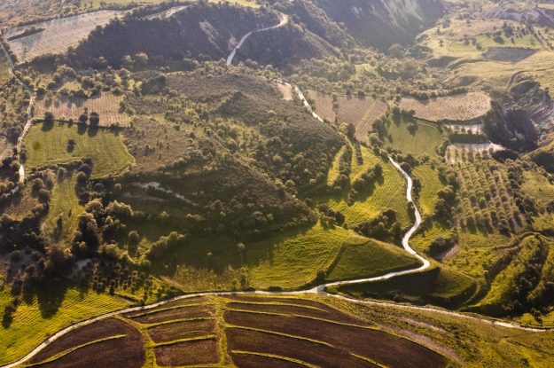 NUOVA ZELANDA, UN MINISTERO PER L’AGRICOLTURA BIOLOGICA!