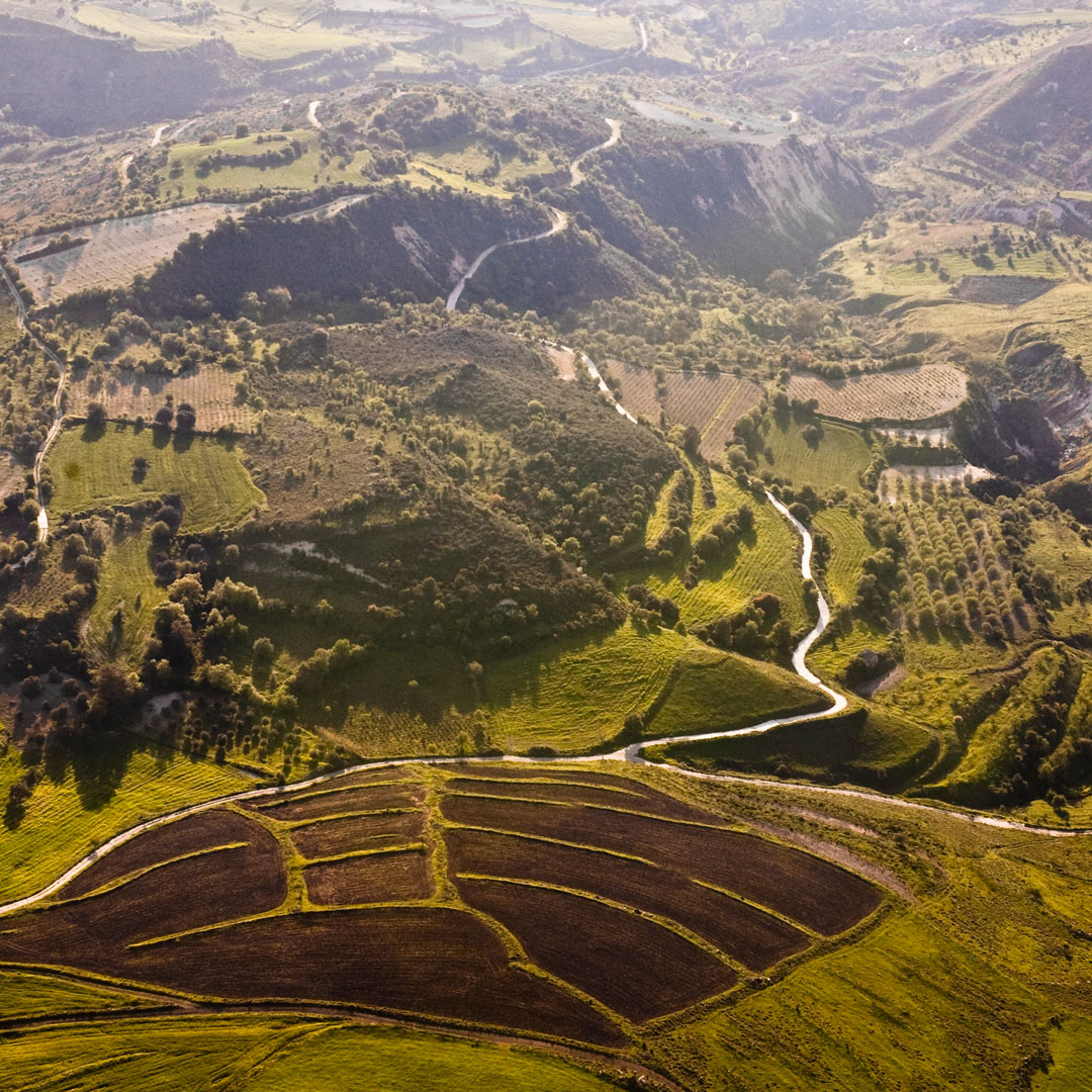 Mike Butterick nominato ministro per l’agricoltura biologica in Nuova Zelanda durante la presentazione delle politiche per il settore