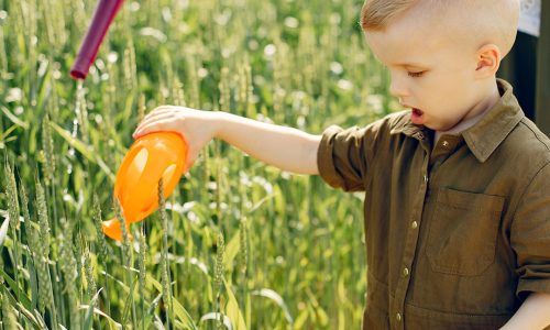 RIDURRE L’ESPOSIZIONE DEI BAMBINI AI PESTICIDI? BASTA MANGIARE BIO