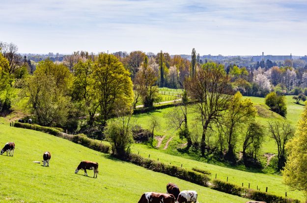 BELGIO, IL MERCATO BIO È PICCOLO, MA IN BUONA SALUTE