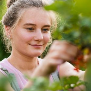 Reparto di prodotti biologici in un supermercato francese con frutta e verdura biologica in esposizione