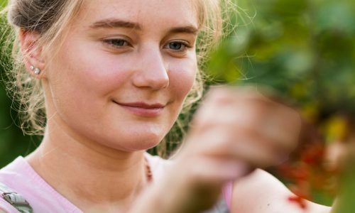 BENE IL MERCATO BIOLOGICO IN FRANCIA