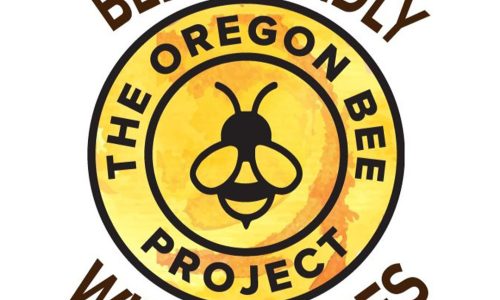 IN OREGON LE API MUOIONO DI VECCHIAIA