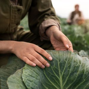 Assemblea di IFOAM Organics Europe a Bruxelles sul sostegno all’agricoltura biologica nella futura PAC europea