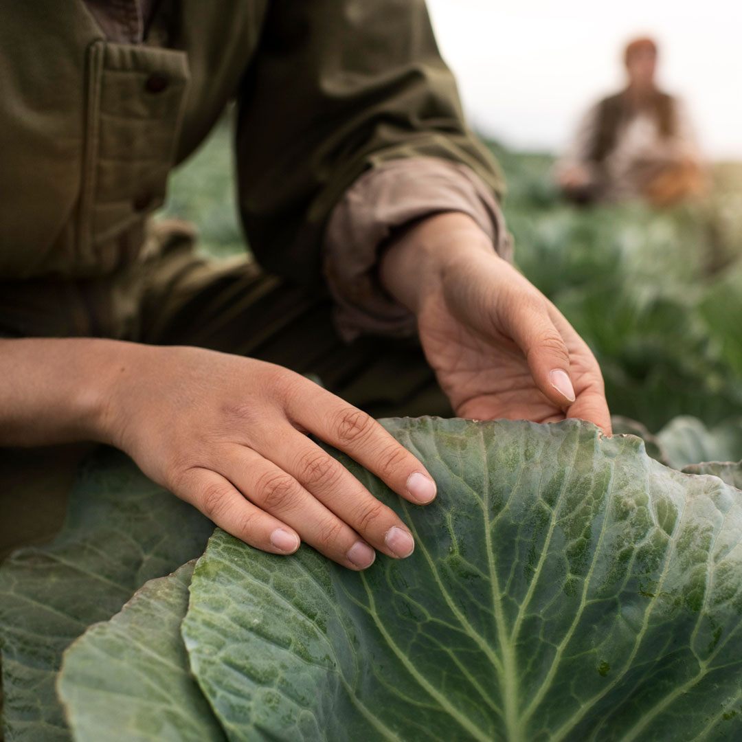 Assemblea di IFOAM Organics Europe a Bruxelles sul sostegno all’agricoltura biologica nella futura PAC europea