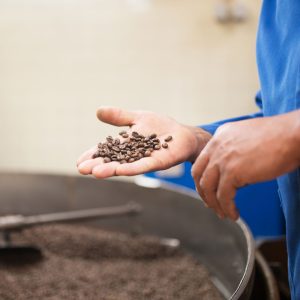 Chicchi di caffè durante la lavorazione con riferimento ai pesticidi utilizzati nelle coltivazioni intensive