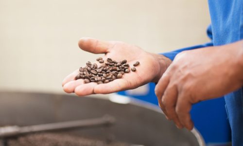 IL CAFFÈ MACCHIATO DAI PESTICIDI