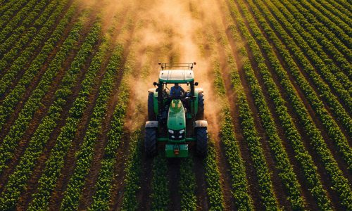 RISCHIOSA LA SEMPLIFICAZIONE UE SUOI PESTICIDI