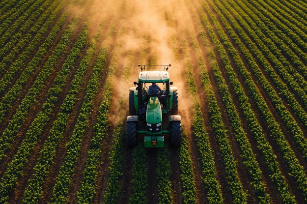 RISCHIOSA LA SEMPLIFICAZIONE UE SUOI PESTICIDI