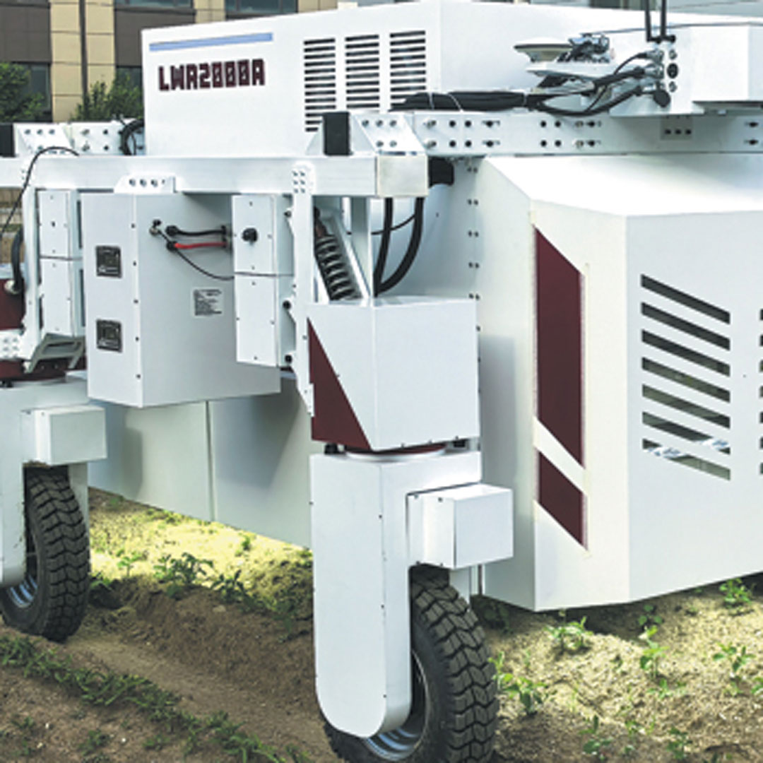 Robot autonomo con intelligenza artificiale utilizza un laser per eliminare le infestanti in un campo coltivato