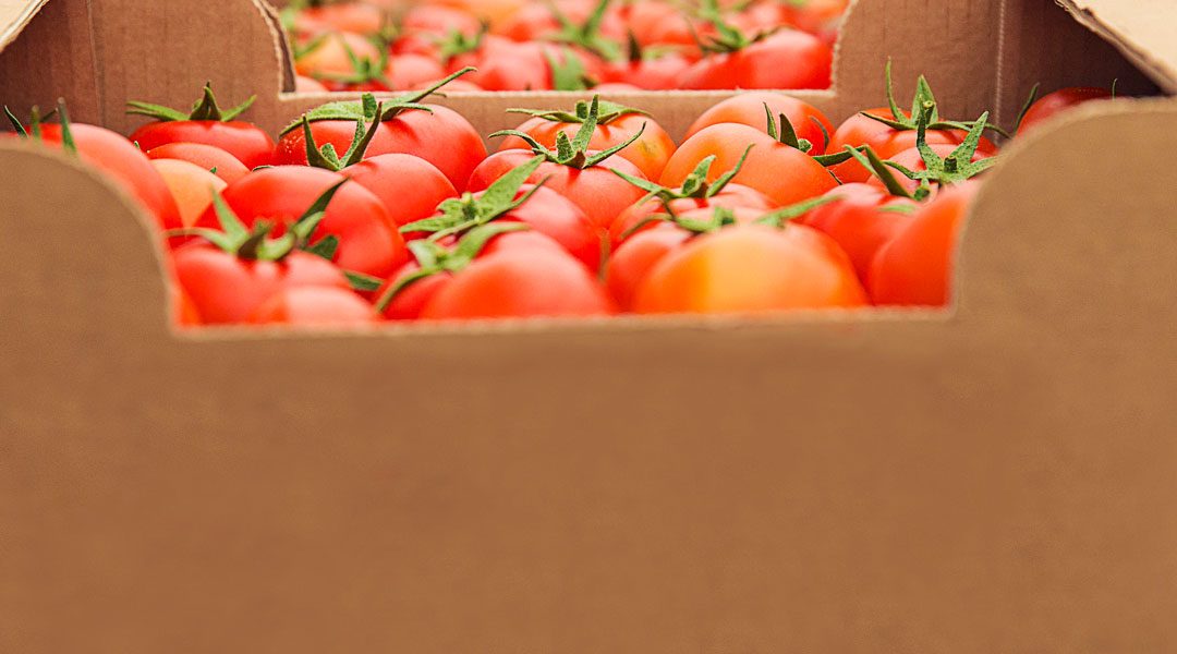 BIOLOGICO, CRESCE ANCHE L’IMPORT