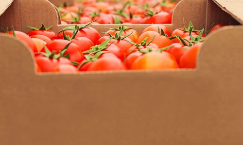 BIOLOGICO, CRESCE ANCHE L’IMPORT
