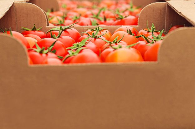 BIOLOGICO, CRESCE ANCHE L’IMPORT