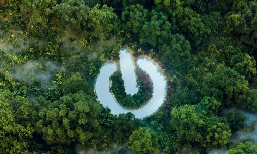GREENWASHING, DAL 27 SETTEMBRE NUOVE REGOLE PER LE IMPRESE
